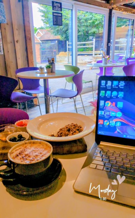 Working lunch at the Chestnut Cafe, Sorrel Horse, Shottisham in Suffolk