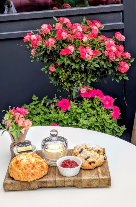 Cream Tea at the Chestnut Cafe, Sorrel Horse, Shottisham in Suffolk